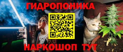 spice Берёзовский