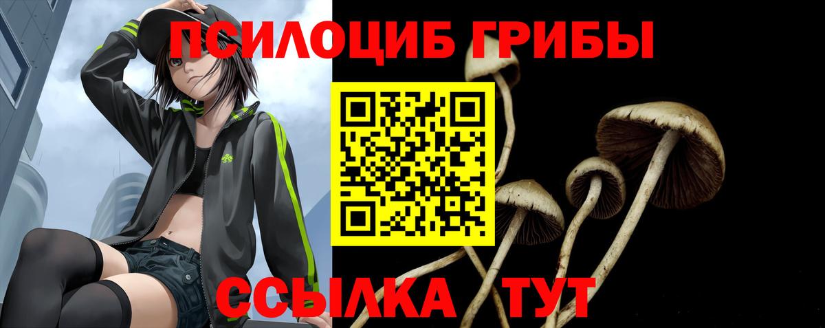 Видное  Галлюциногенные грибы ЛСД  Псилоцибиновые грибы Psilocybine cubensis  Вход с VPN 