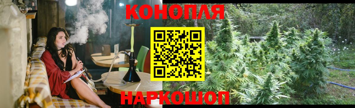 МАРИХУАНА Bruce Banner  Марихуана планчик  Видное  Каннабис план  Вход с VPN 